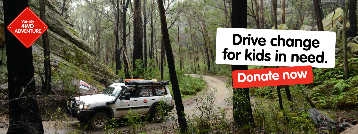 2026 4WD Esig Donate 2